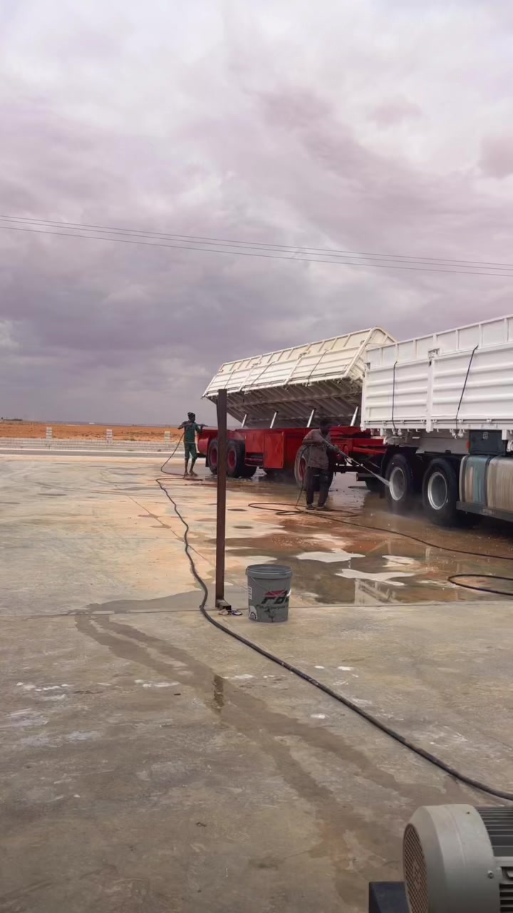 @سعيد امحيور