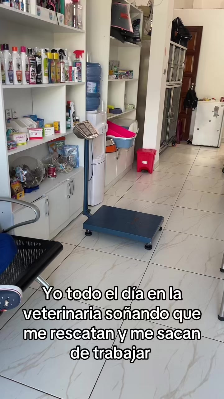 @Cl&iacute;nica Vet Animal Urban