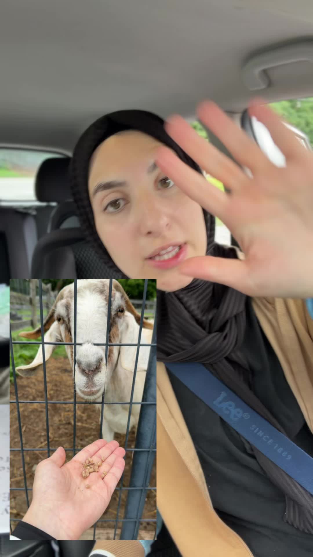 @ArabSpeechie🍉🇸🇩