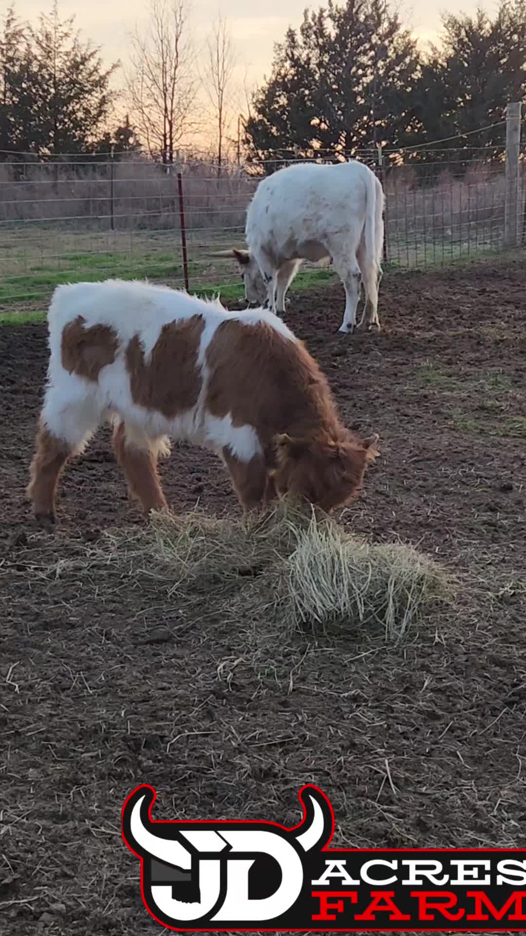 @JD Acres Farm