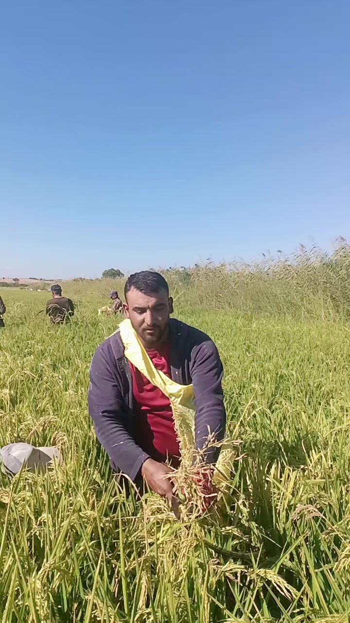 @Diriliş Ertuğrul