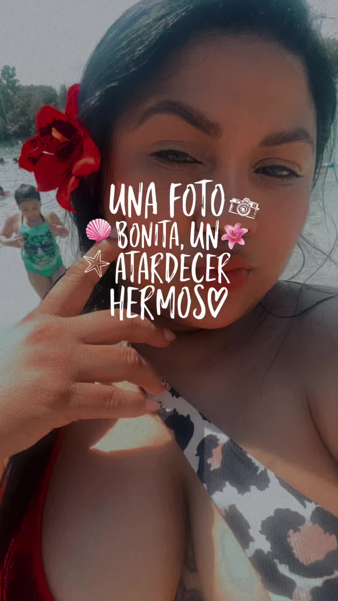 @🌺🌸🌹NES🌹🌸🌺