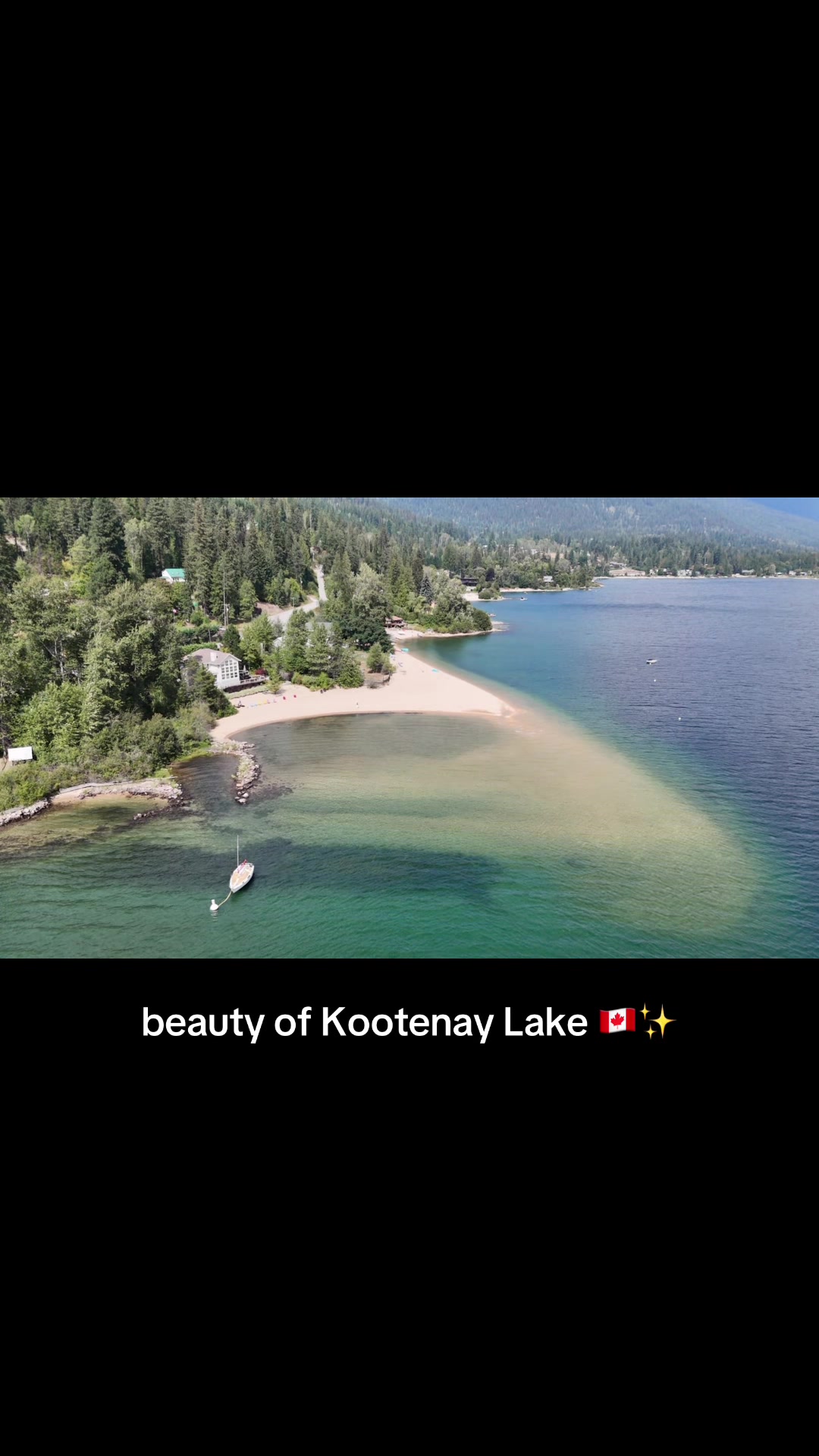 @svitlana.yyc