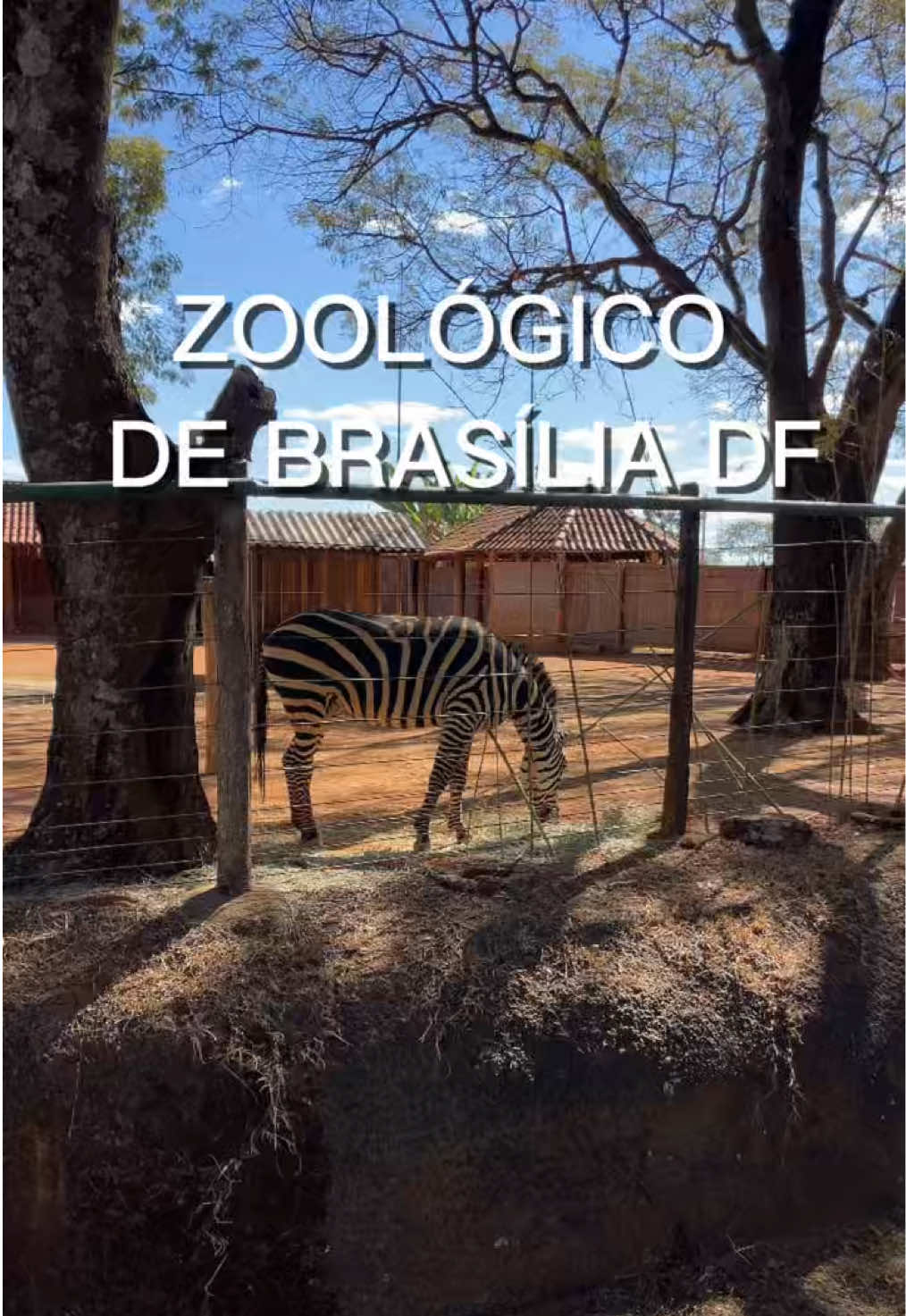 @JDM A NATUREZA EM AÇÃO
