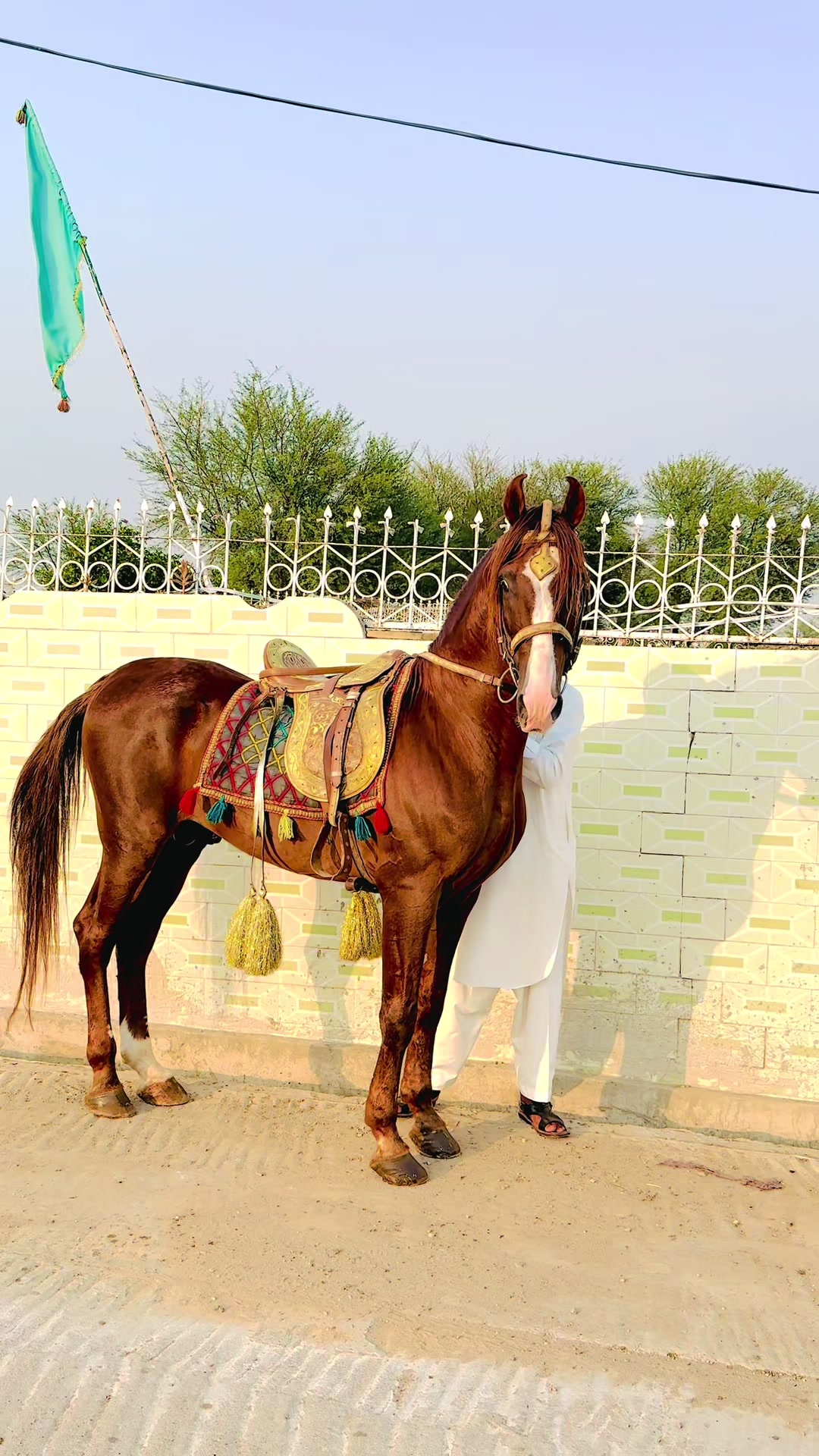 @Sameerx653