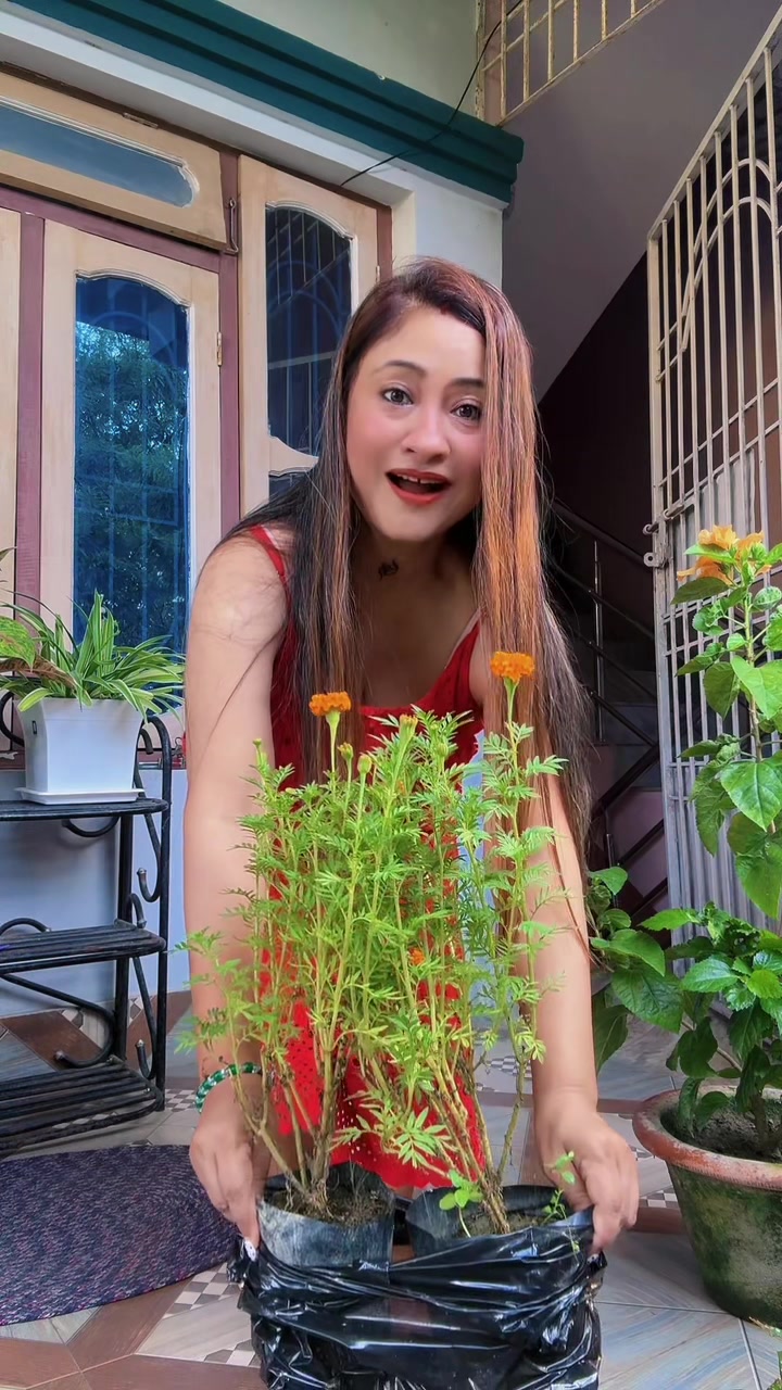 @Ani