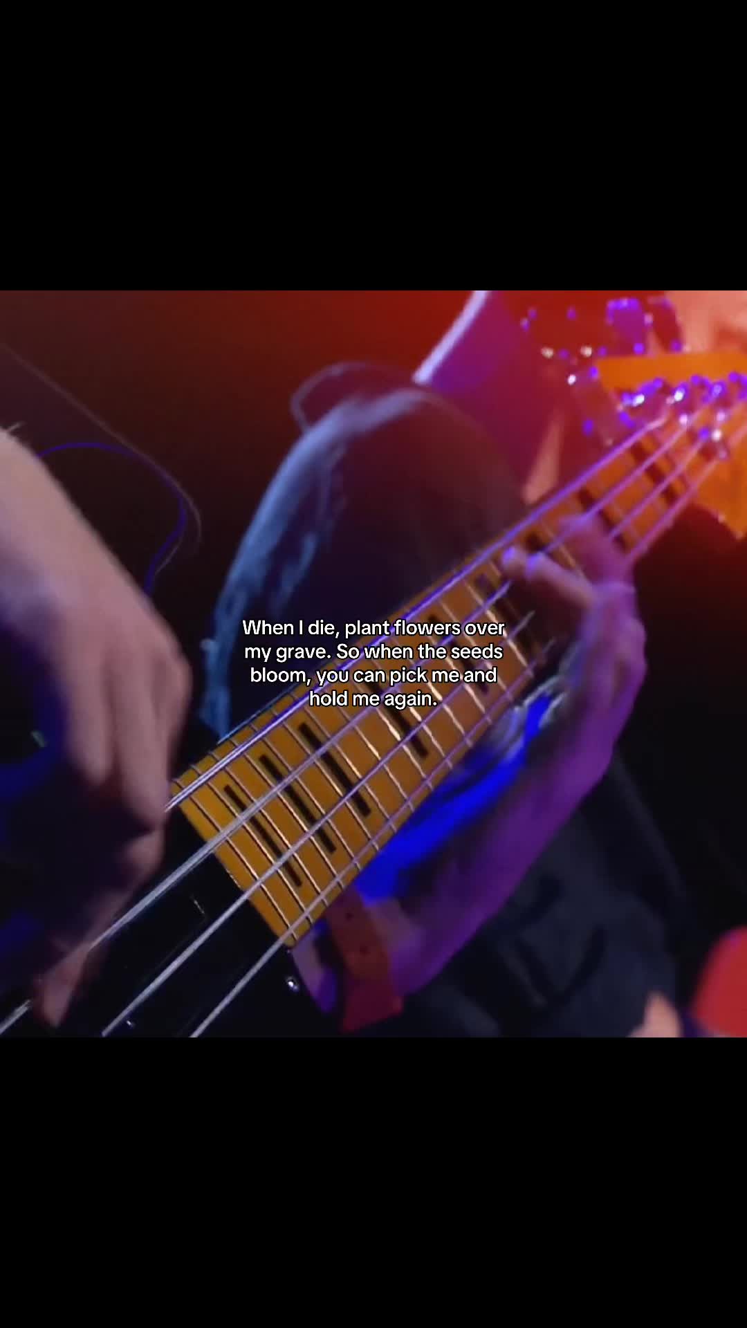 @slavqz.1