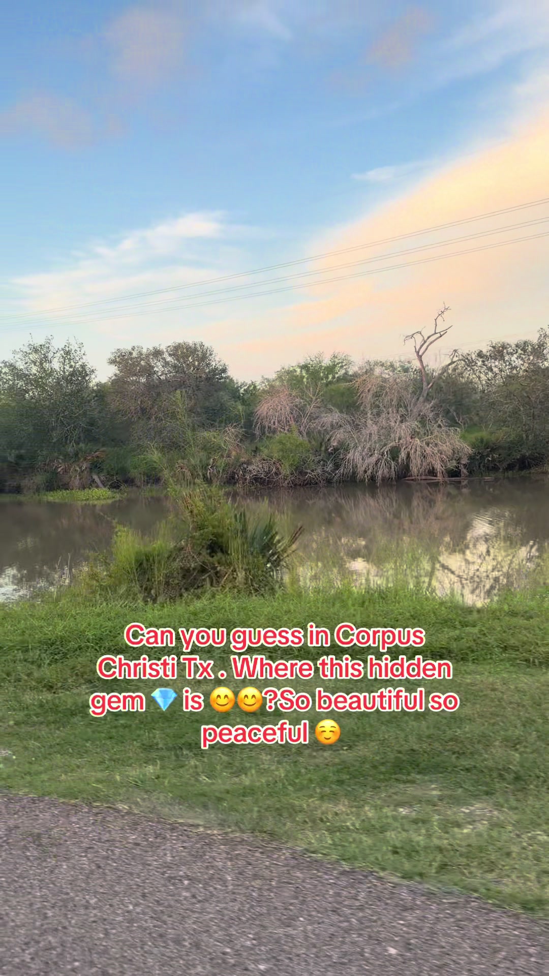 @Queen of Corpus Christi