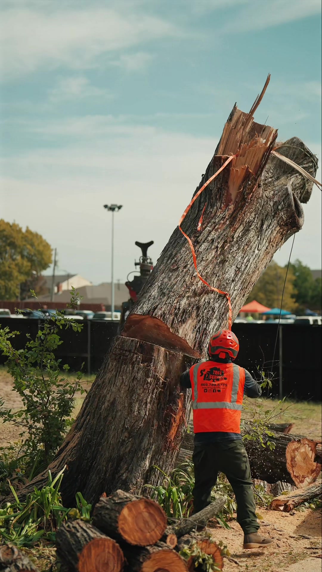 @SPTreeService