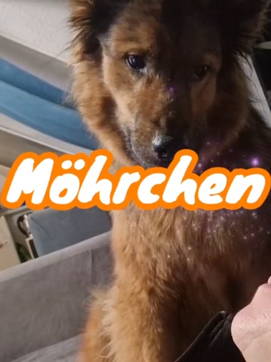 @Hitschiegang