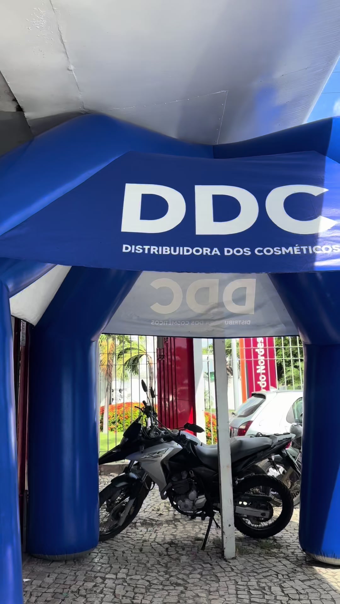 @Vitória Lima