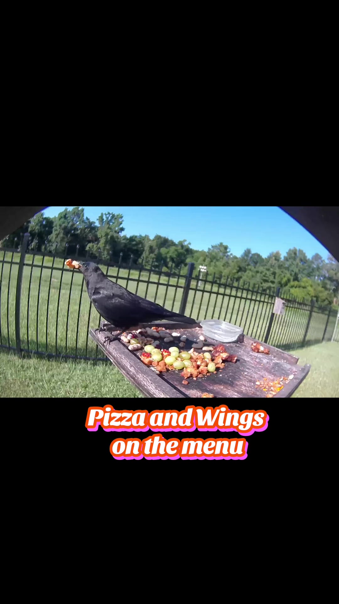 @Buffy_In_Louisiana