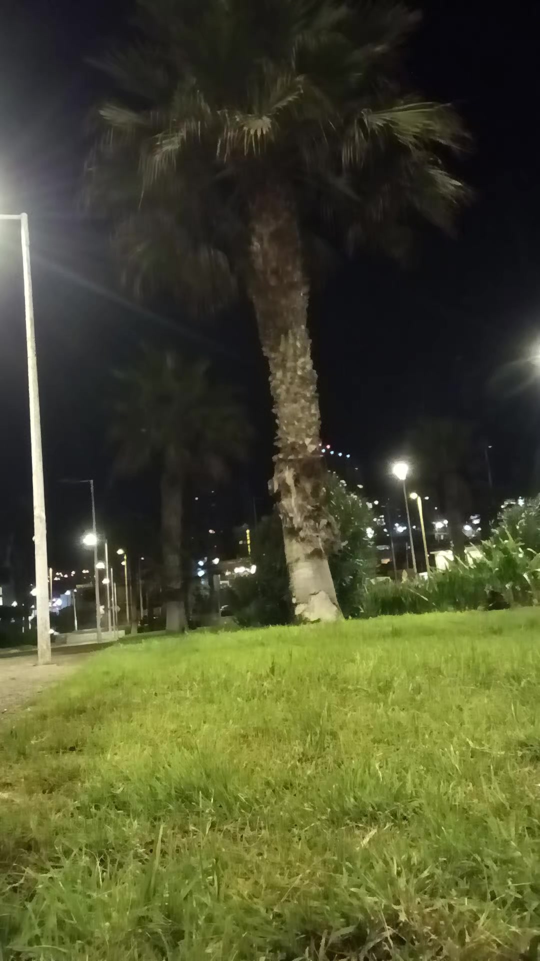 @🏍️💙𝓙𝓾𝓪𝓻𝓮𝔃✨