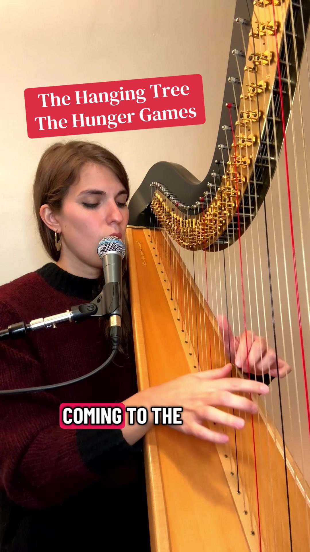 @Pia Salvia 🩵 Pia Harpist