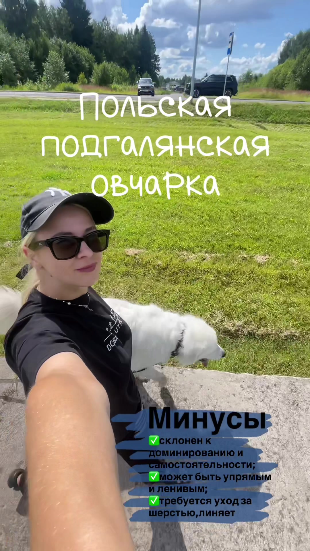 @Зооняня👉Алёна Ващенко
