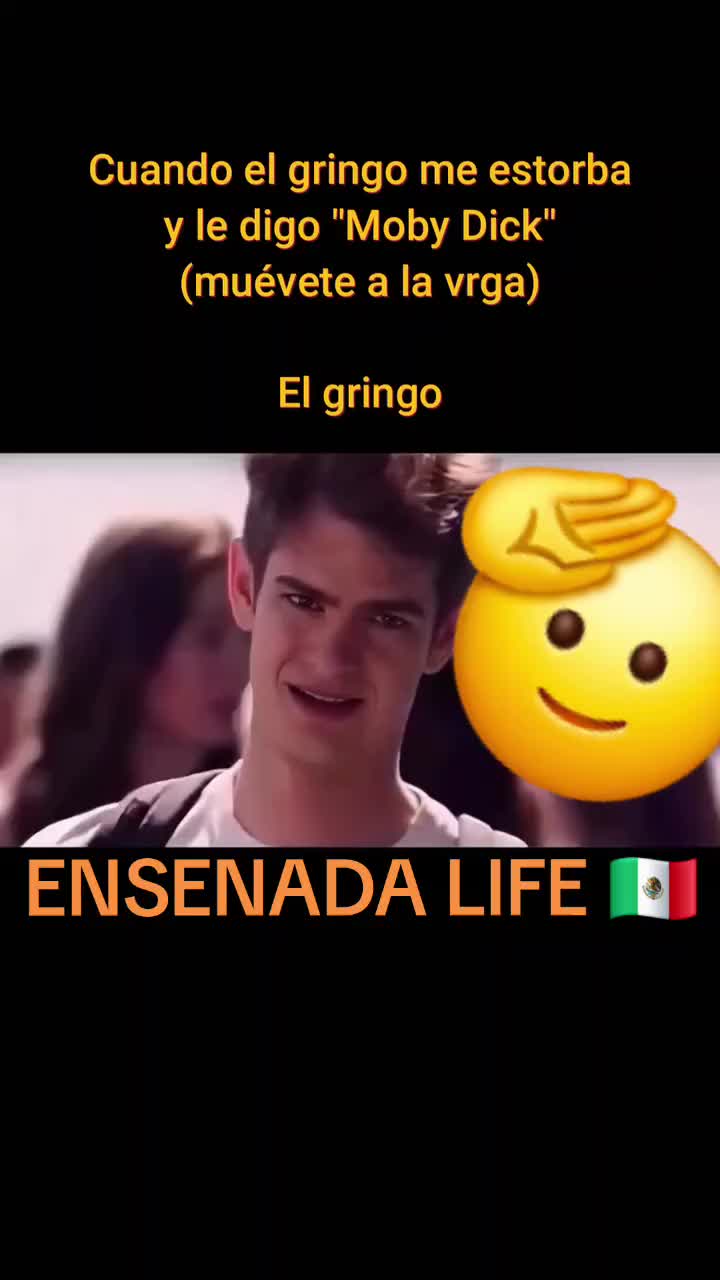 @EL Gallo Salcedo🇲🇽