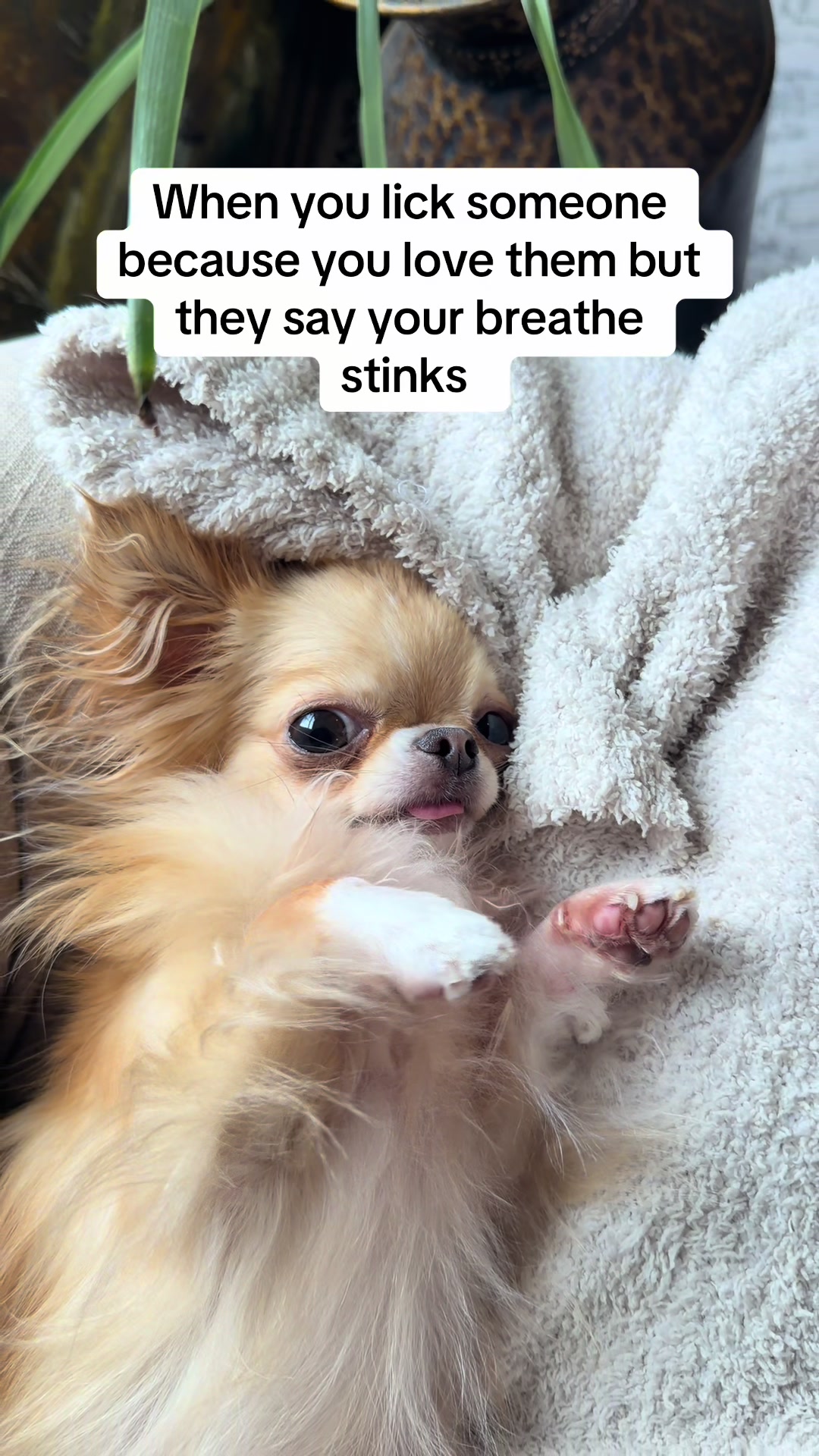 @Stuey & Louie
