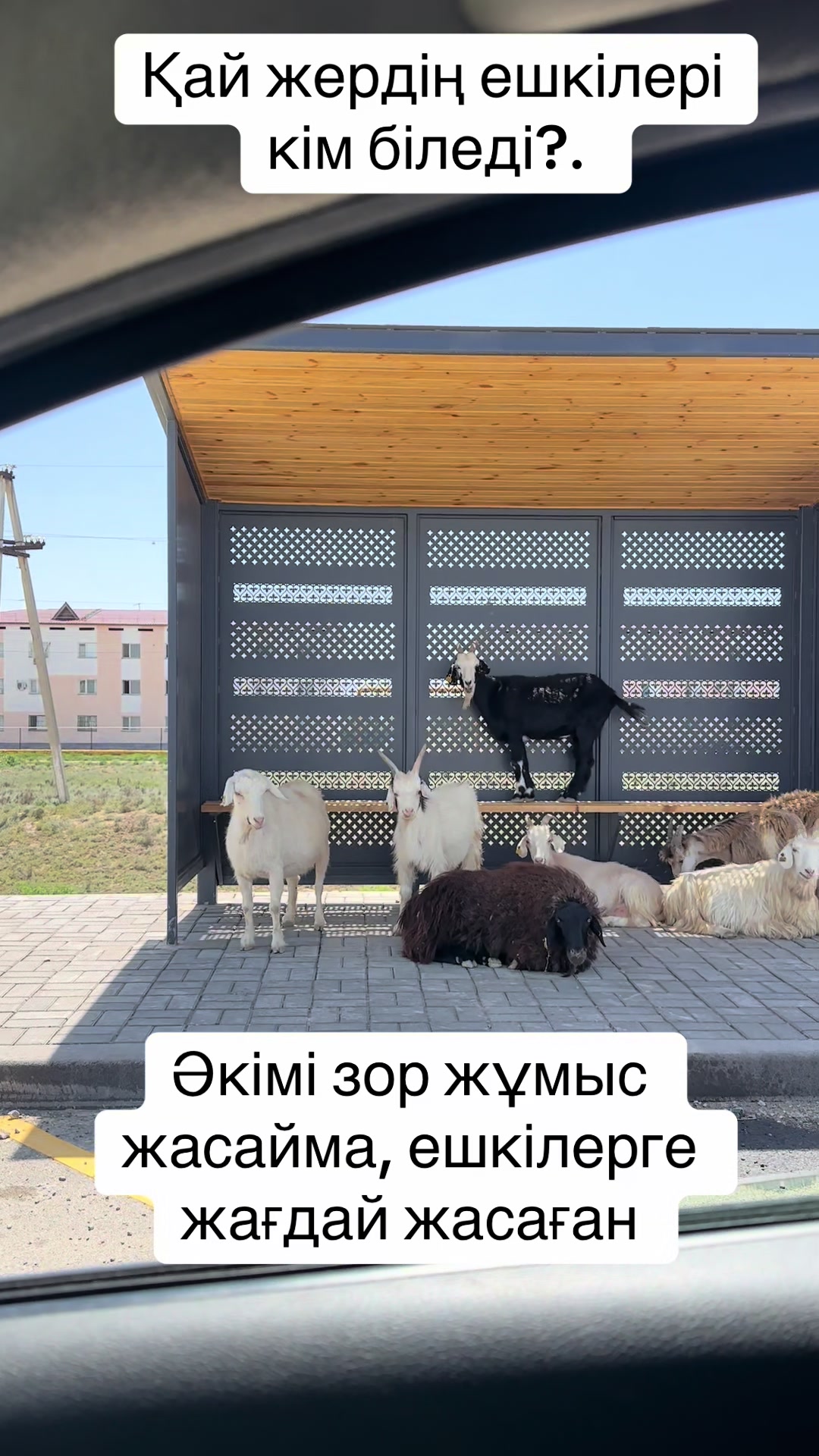@Айбек