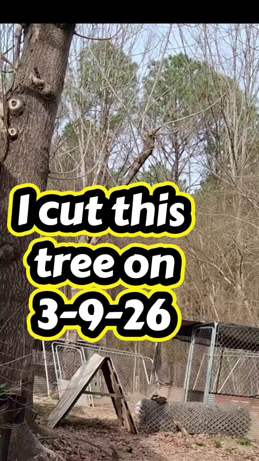 @Tony Alabama