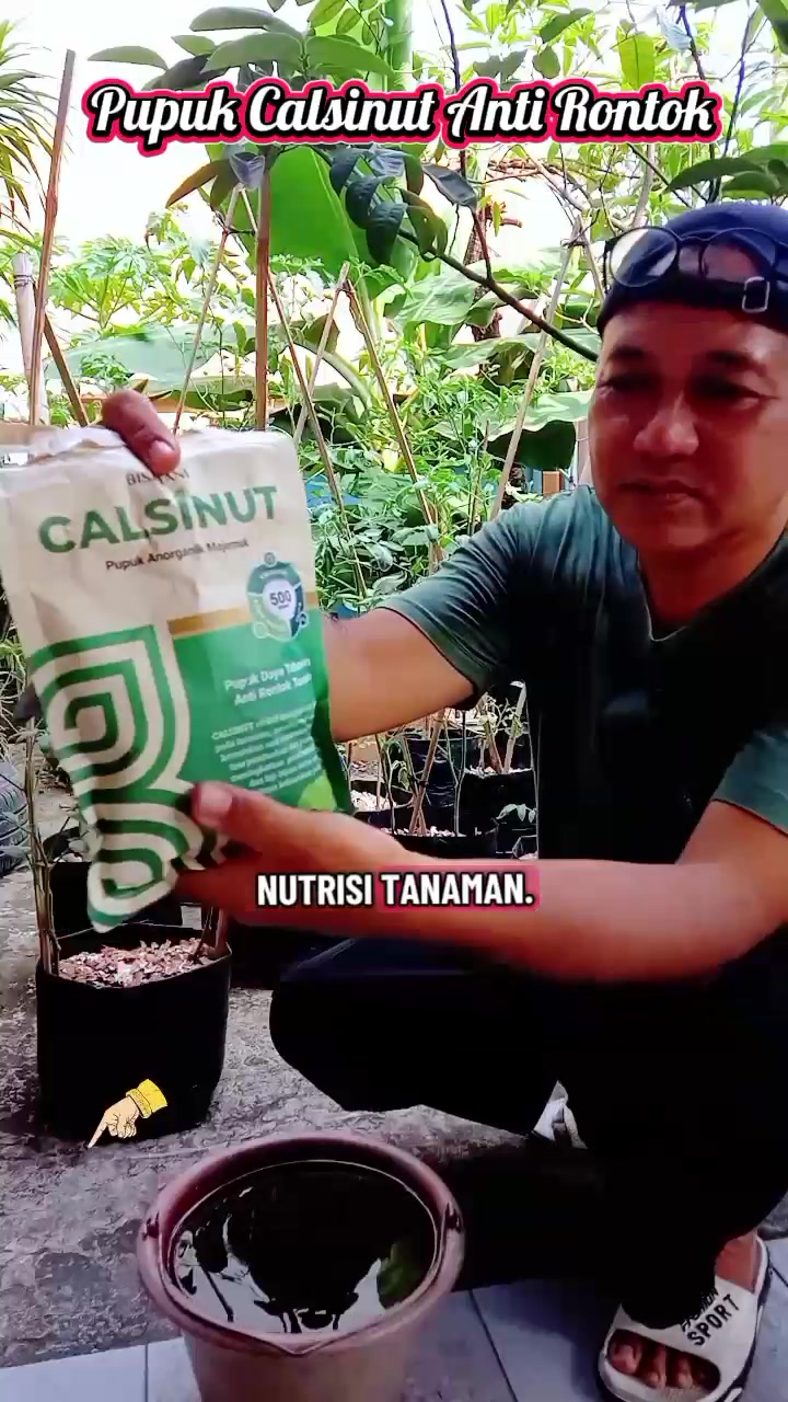 @Roslan.Robert
