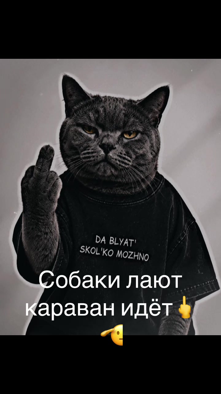 @Sheyx1_007