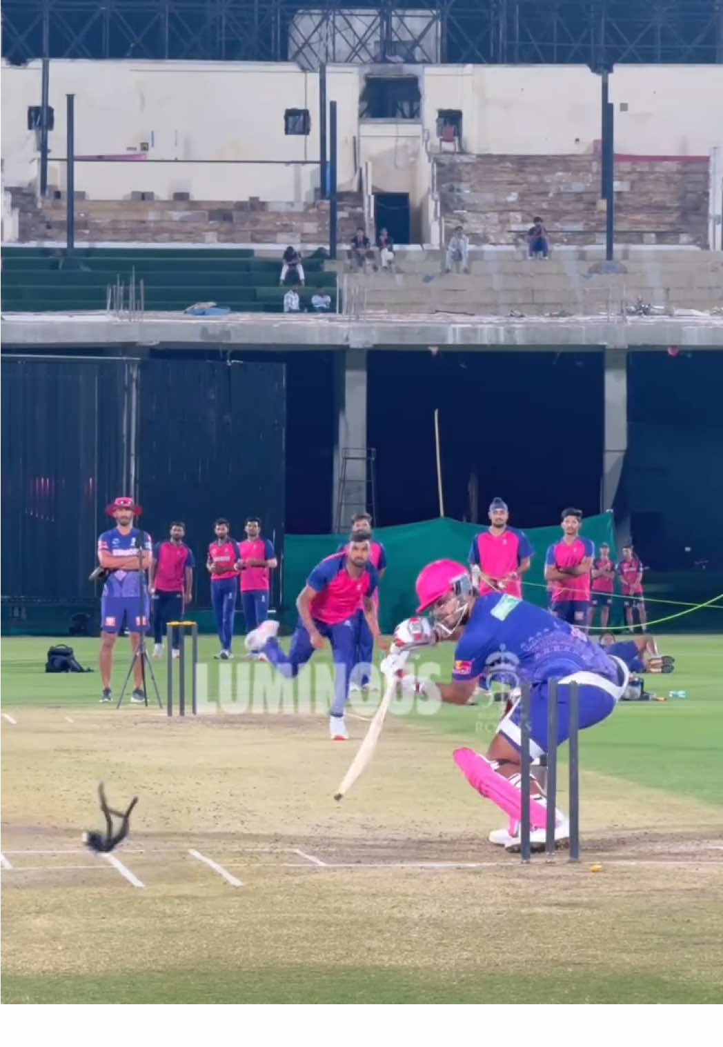 @Rajasthan Royals