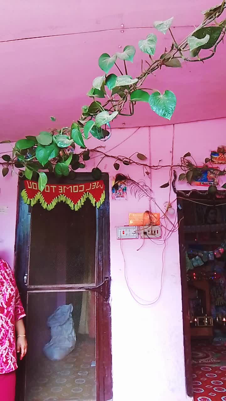 @puspapulami100🥀🥀🥀🌺🌺🌺🌺