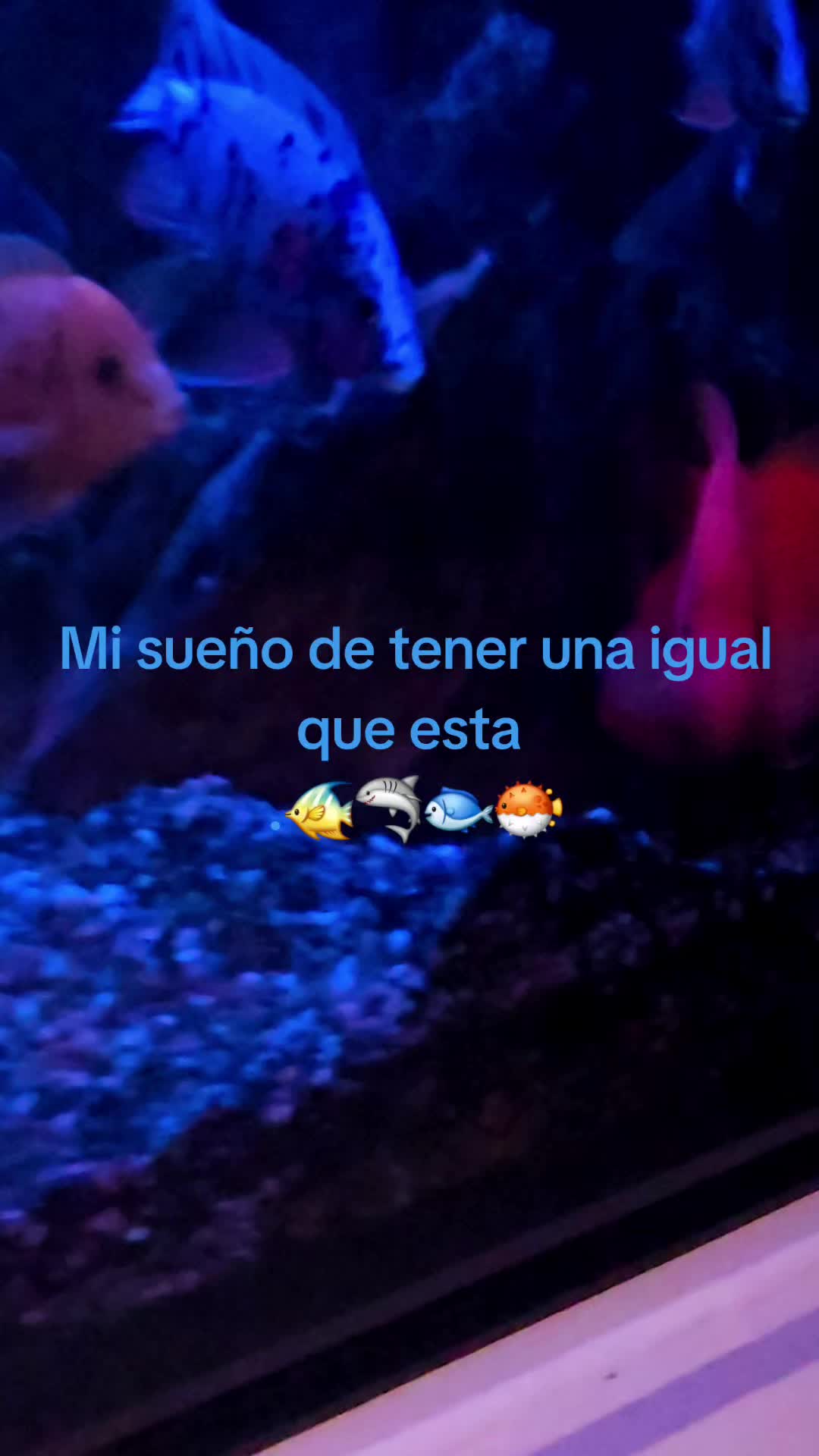 @Salomón Lima 🏹🇪🇨🤗