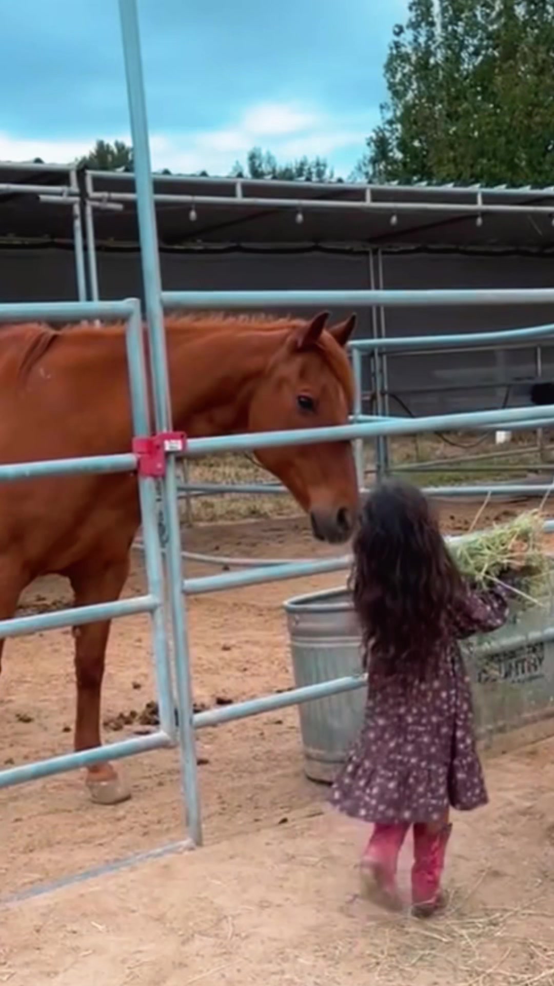 @Wendy aka Nana's Ranch