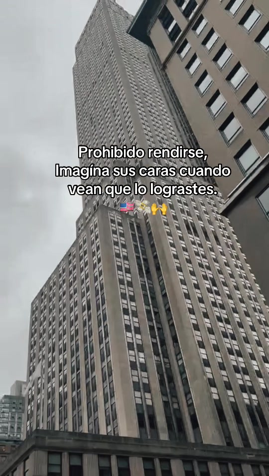 @ervin🕷️