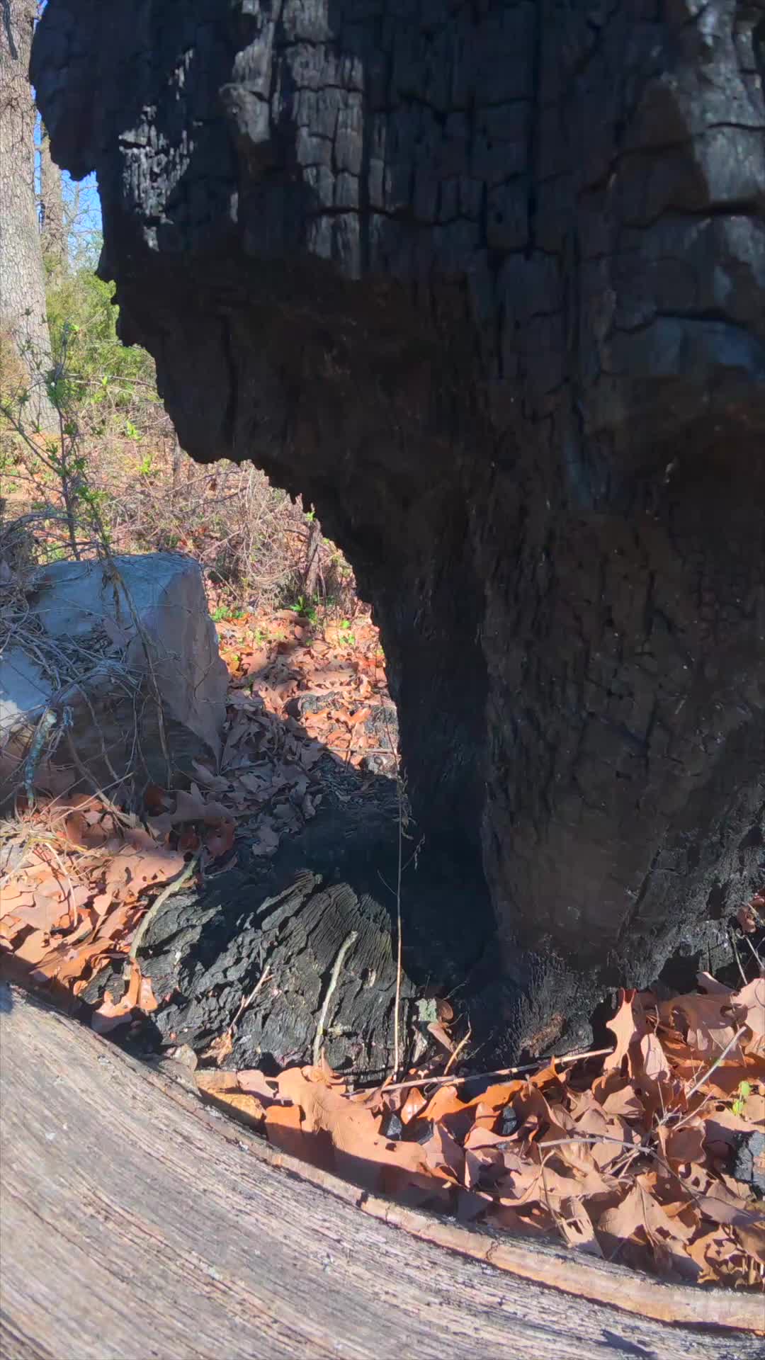 @Rockhill Farm YouTube