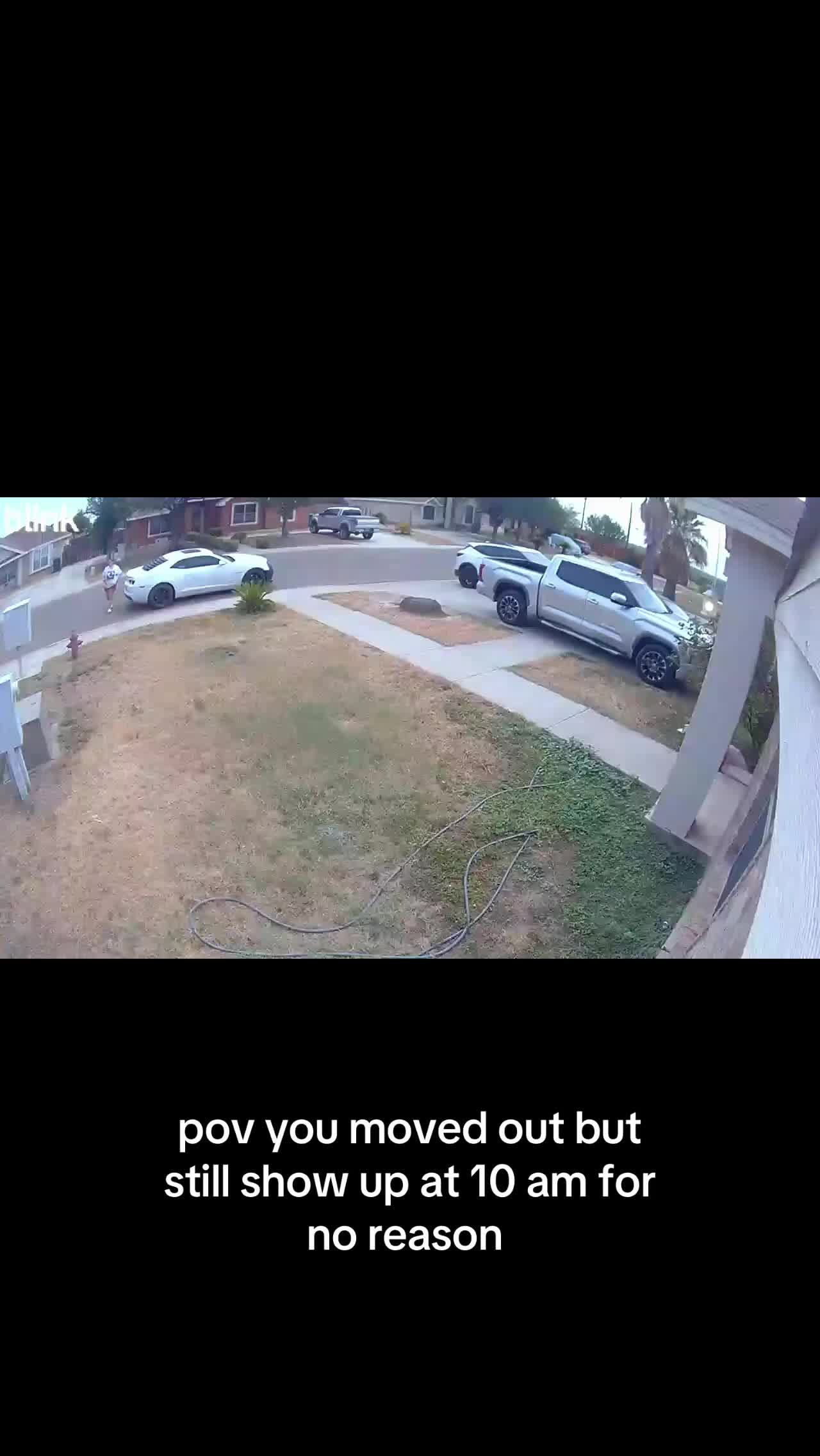 @alex herrera