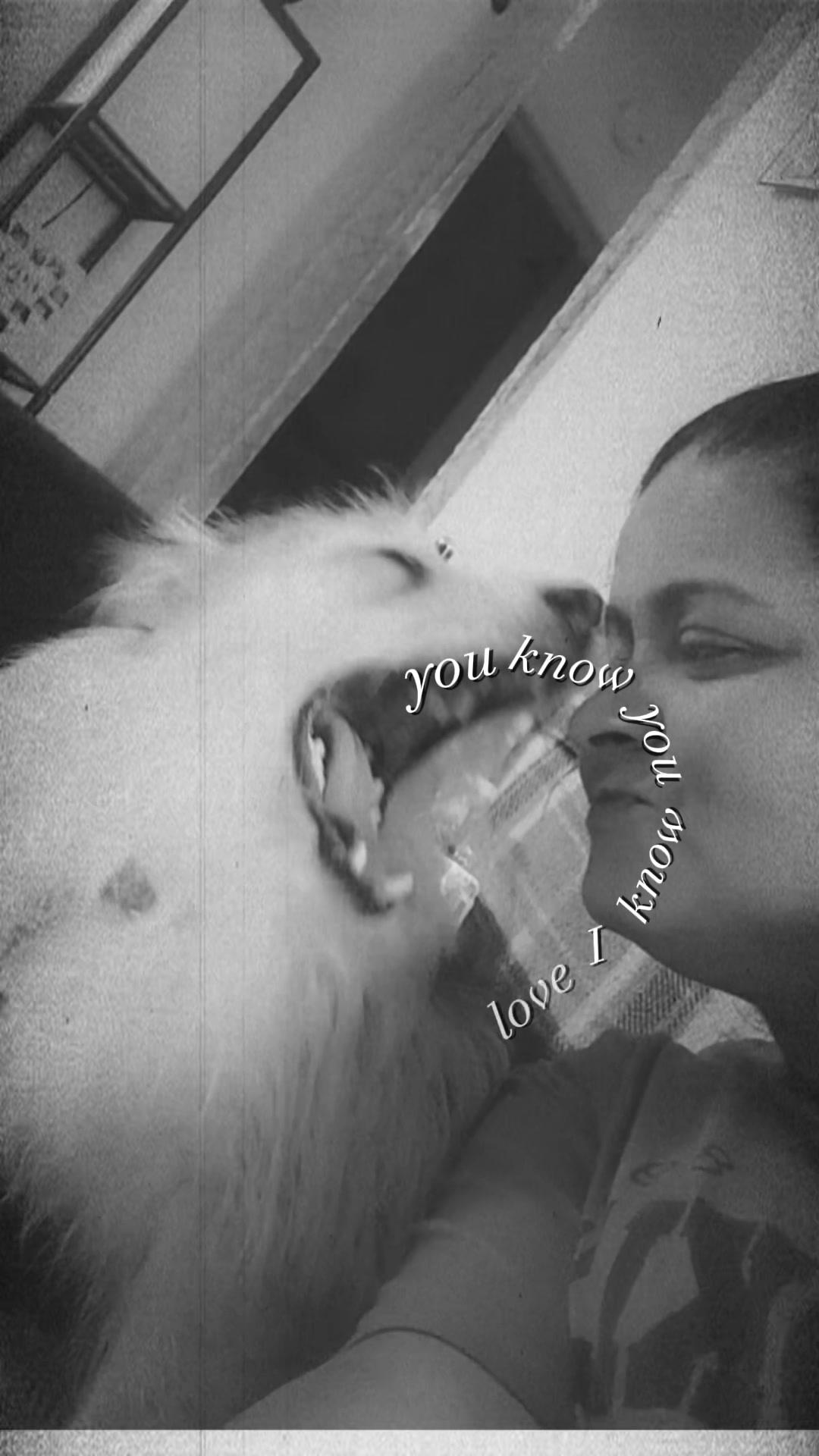 @notyourmemaw