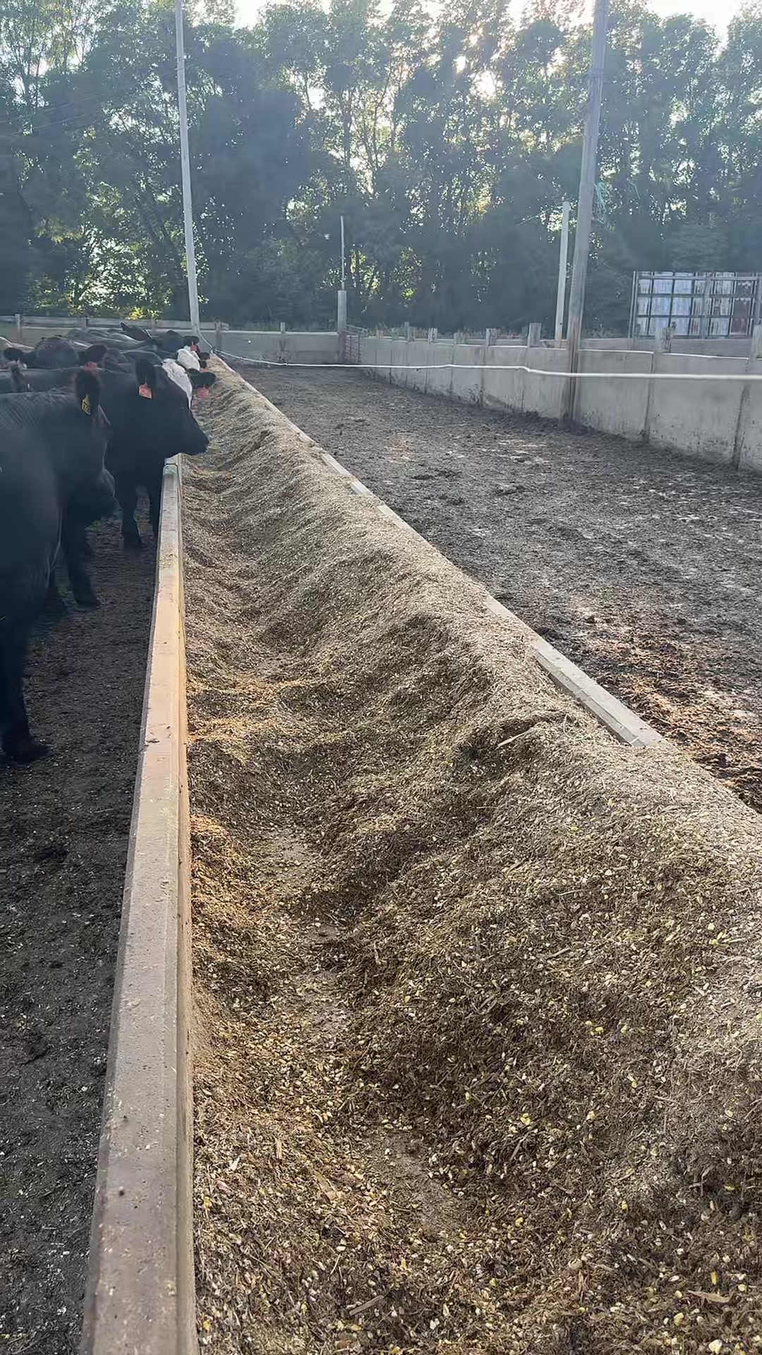 @Vos-Cattle-Co