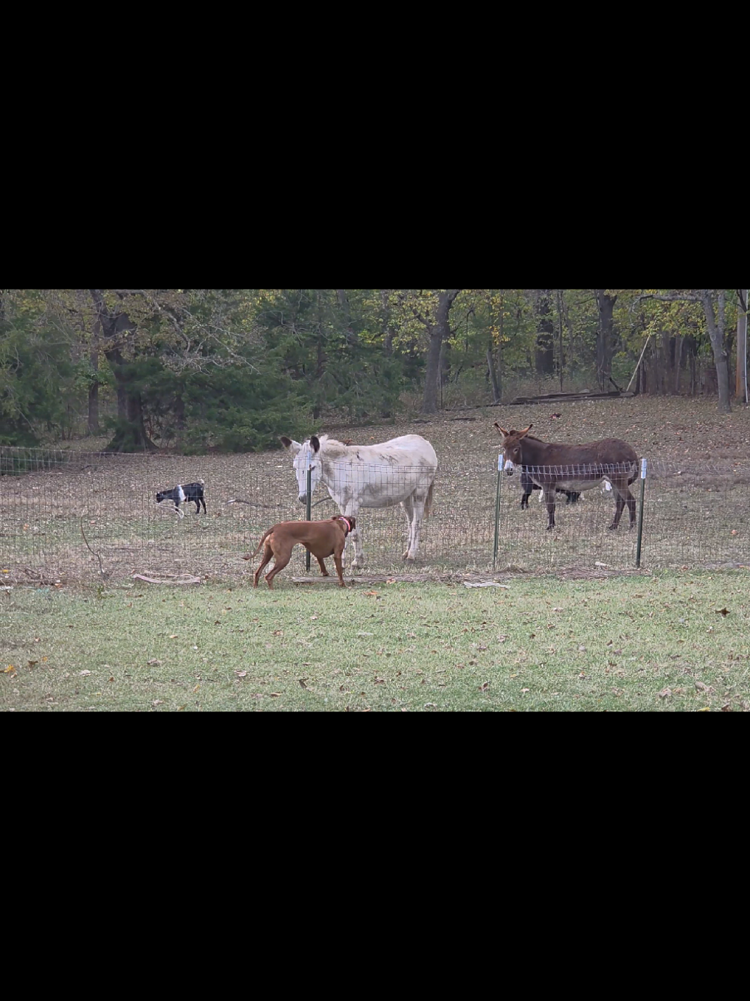 @Side of Ranch