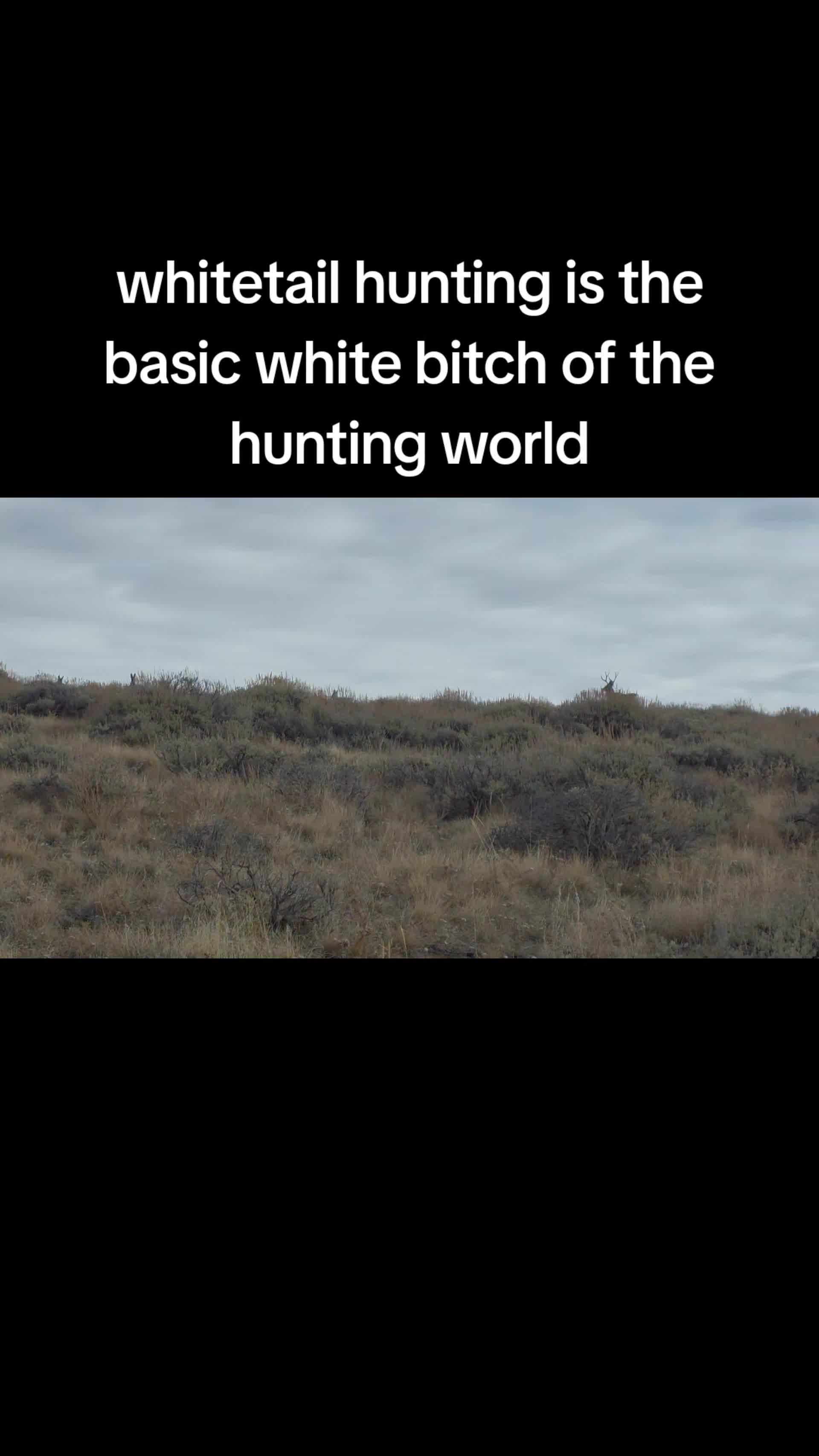 @theofficialchunt