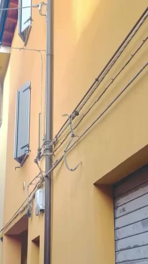 @𝗦𝗛𝗘𝗥 𝗕𝗨𝗧𝗧𝗔𝗥 🦁