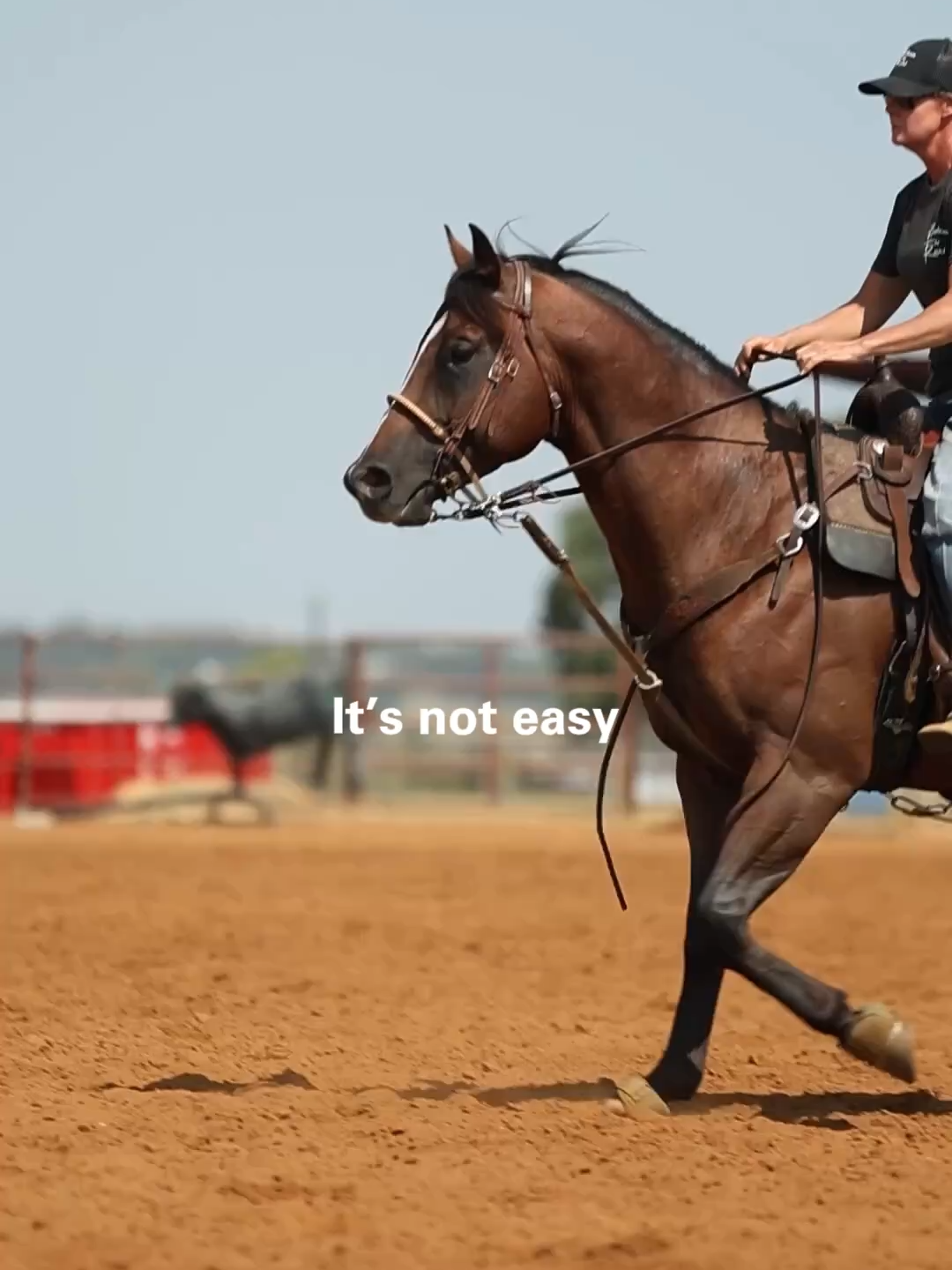 @Between The Reins