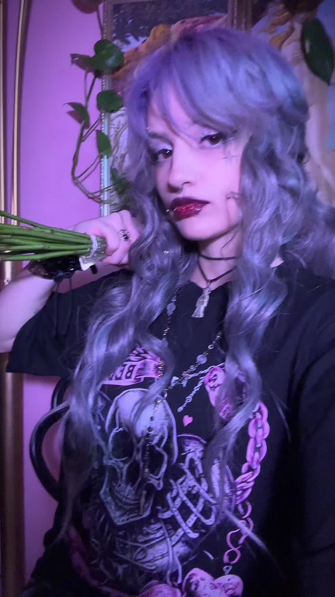 @˚₊‧꒰ა 𝕭𝖆𝖇𝖞𝕯𝖔𝖑𝖑 ໒꒱ ‧₊˚