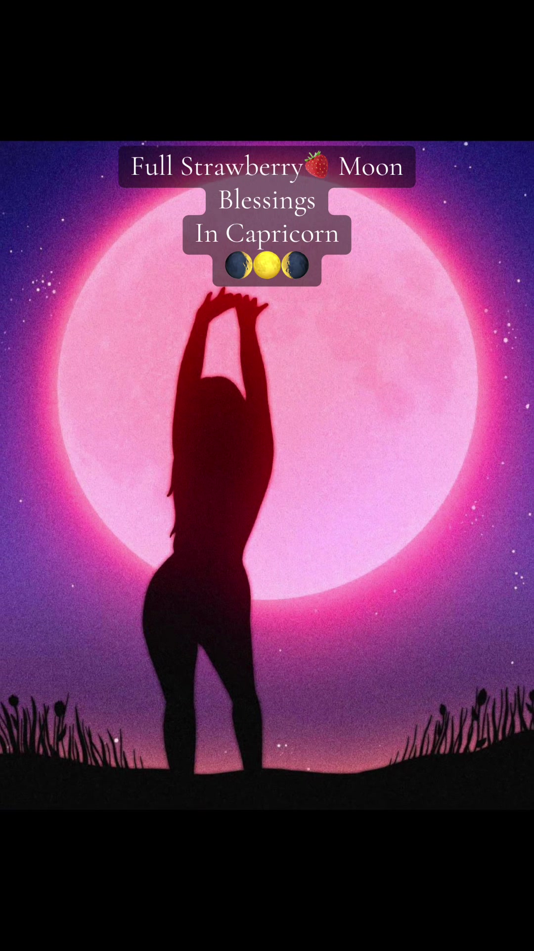 @Tamtamcorvi