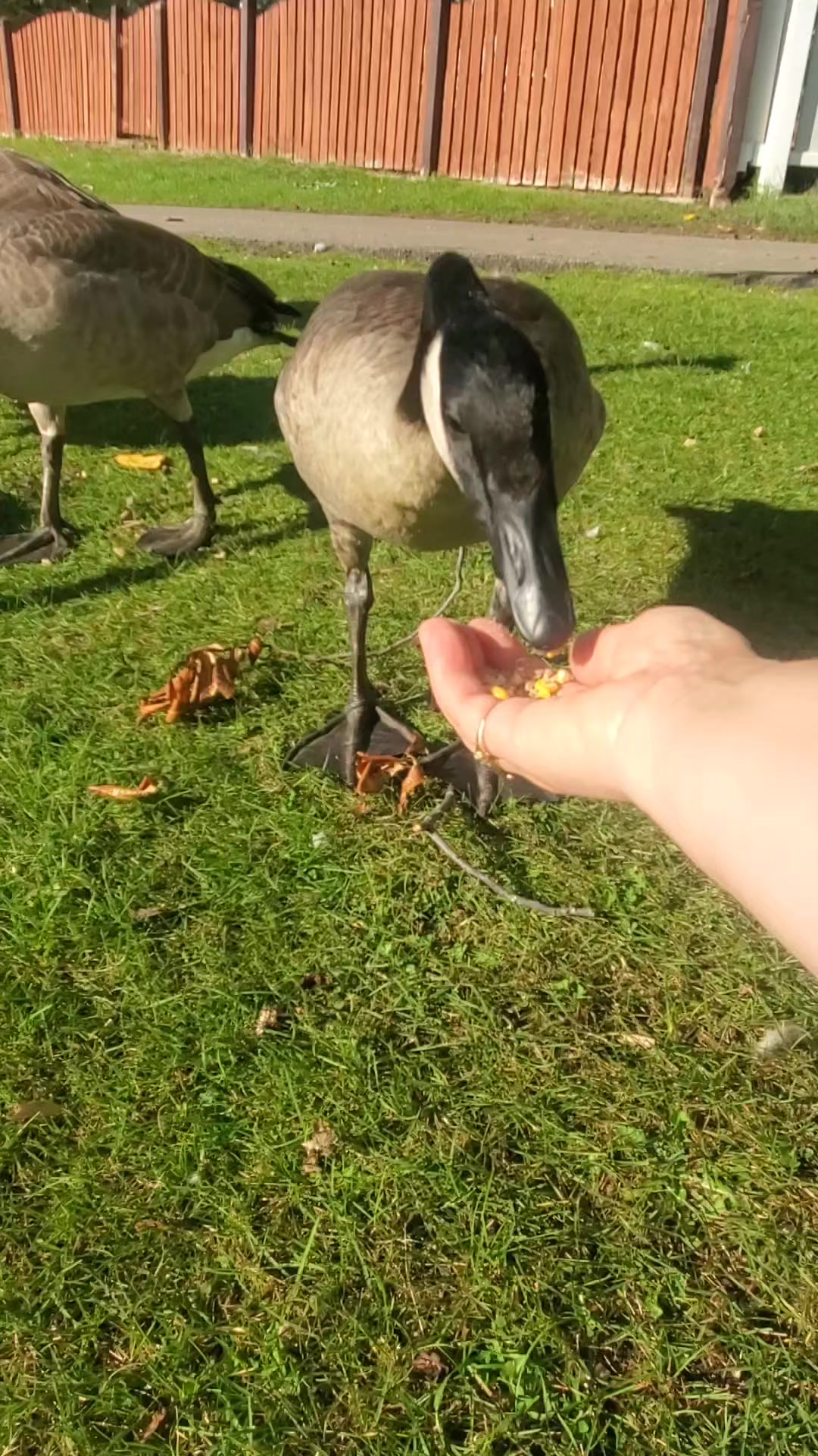 @Pola Pola