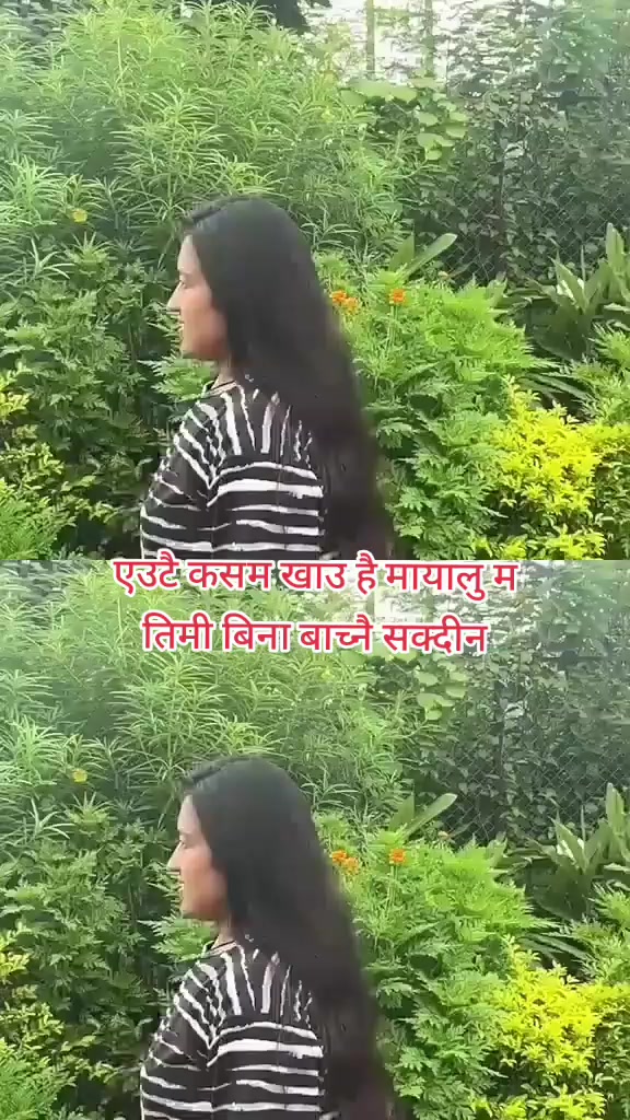 @sangitaxetri11
