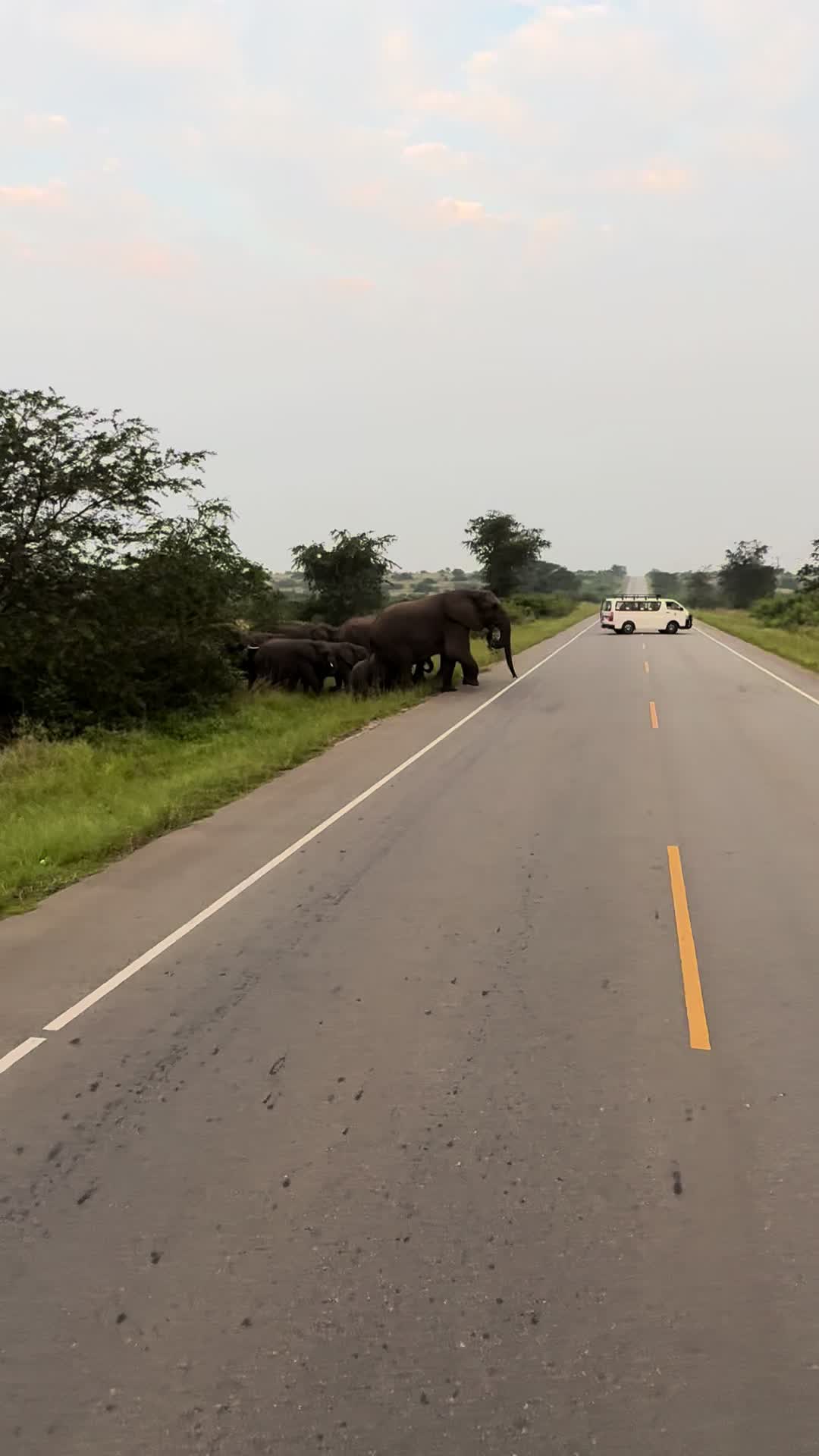 @Africa Tourism Gate