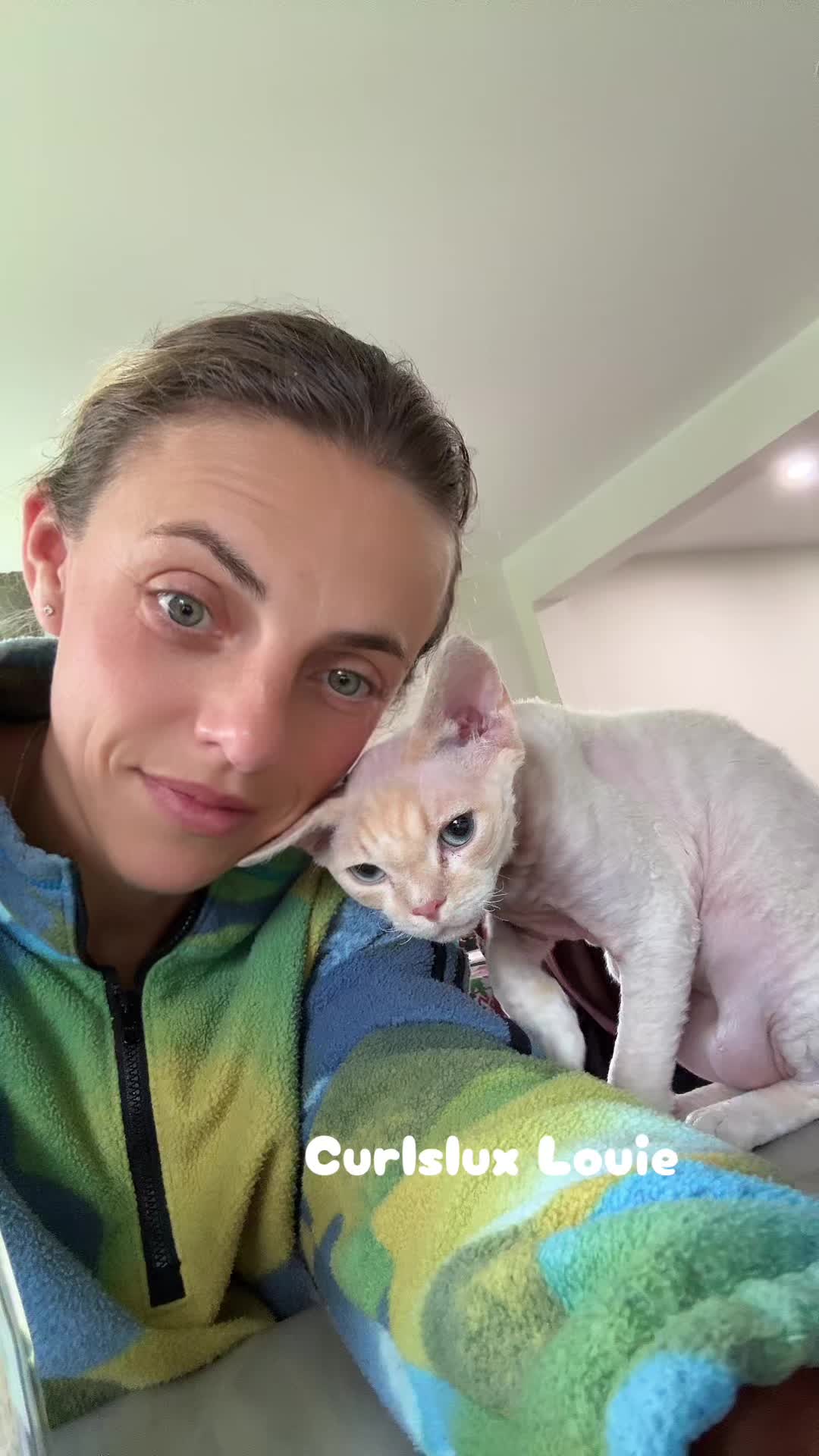 @Curlslux cattery!!🇺🇸