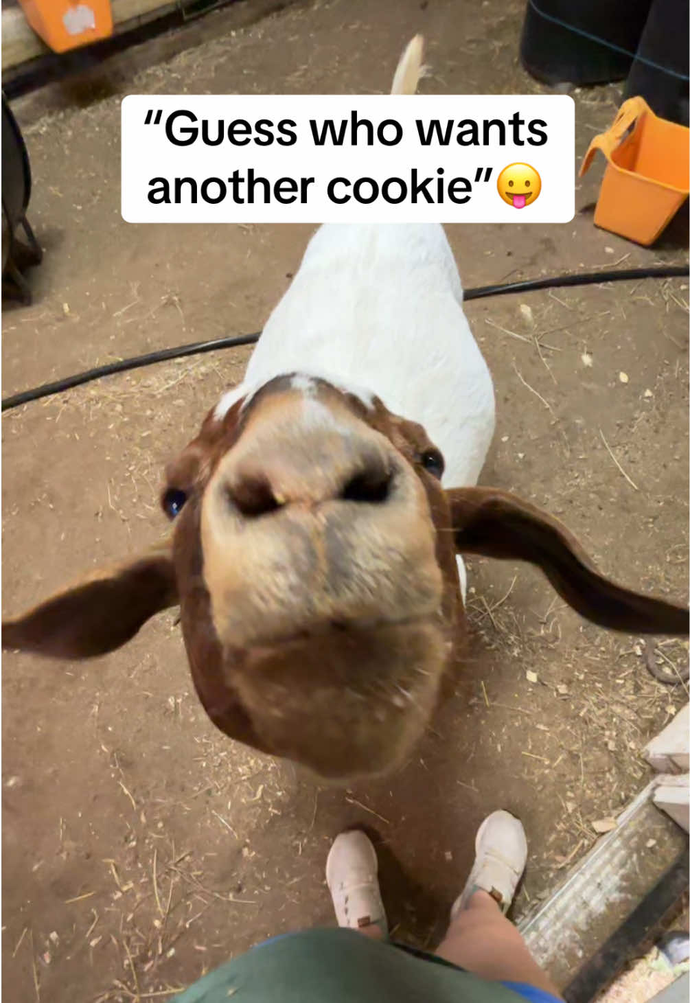 @Sarah ;)