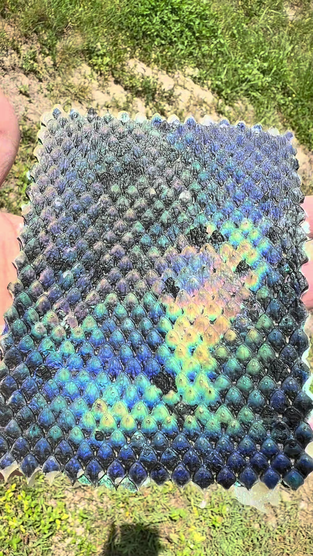 @SolarColorDust.com
