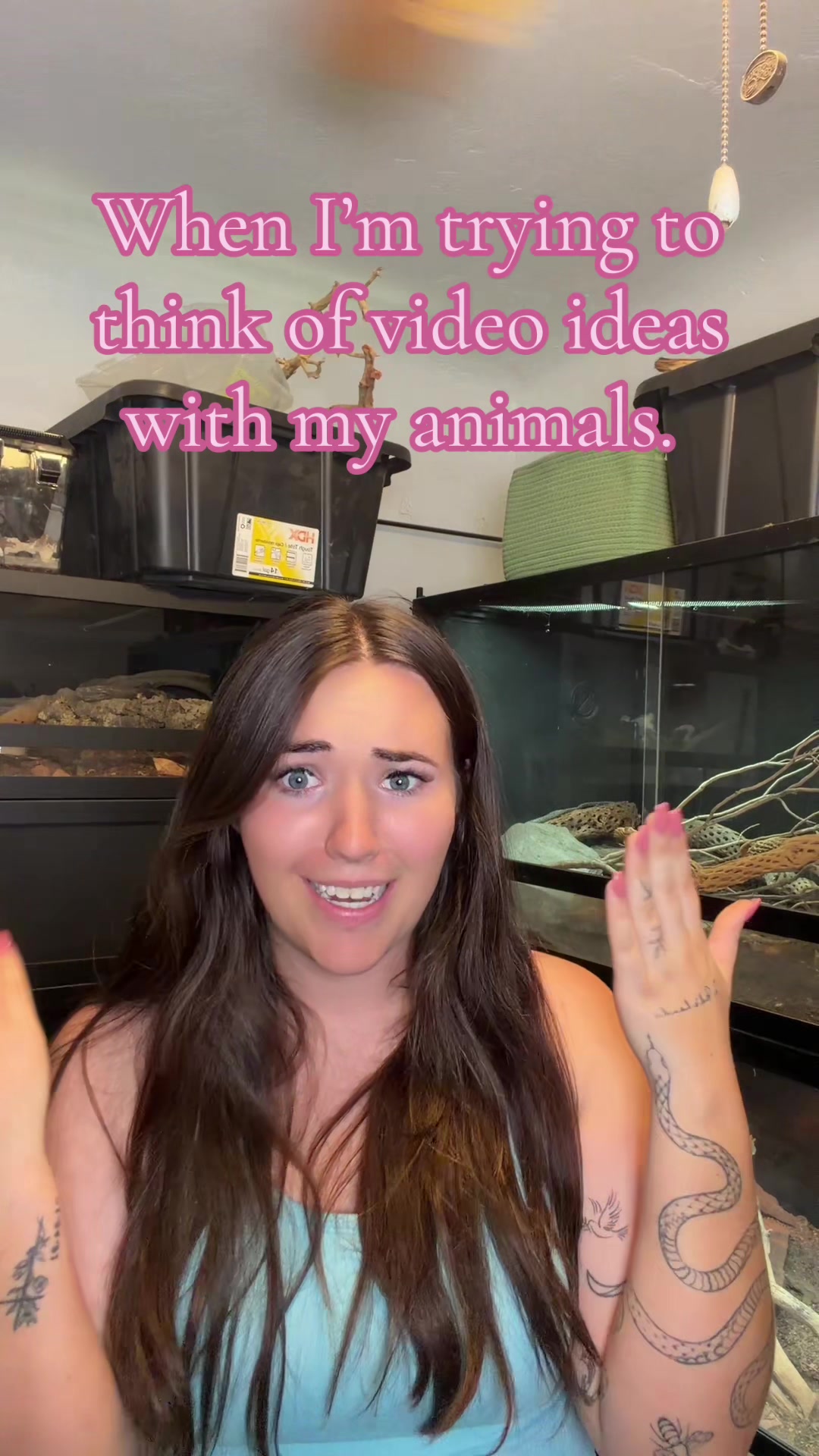 @Katie | my personal zoo 🦎🐰