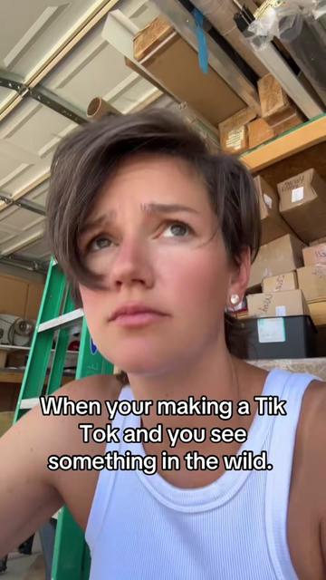 @Alex Jacks