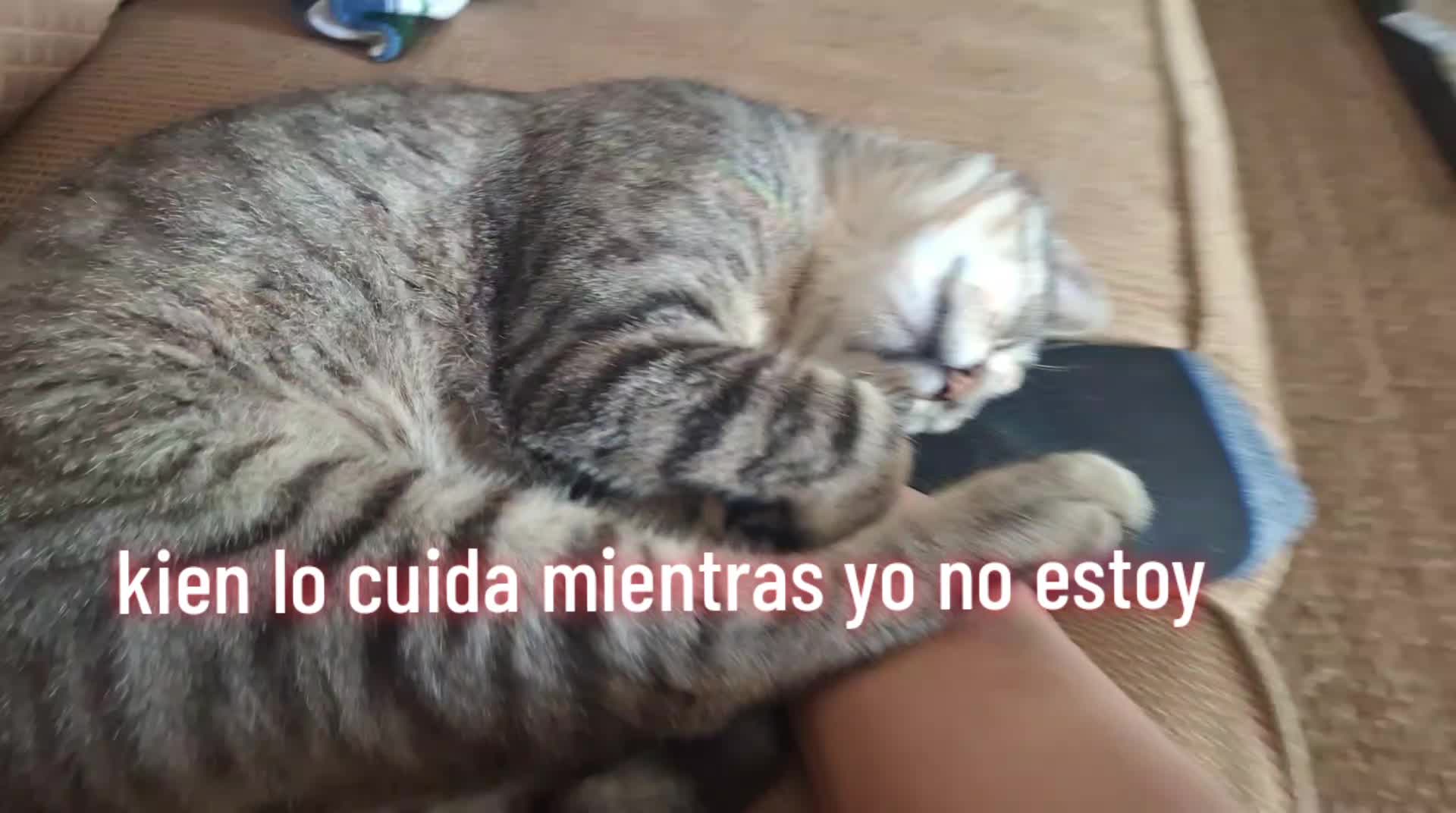 @Mt Meivis