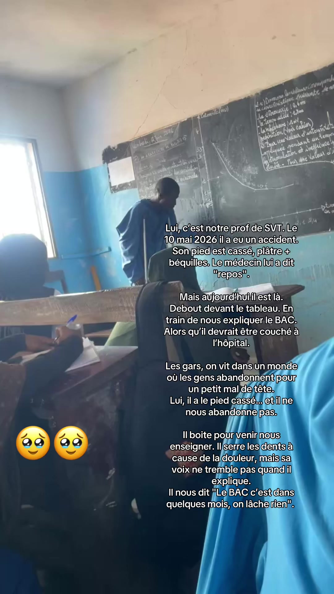 @🧸🌷 Fãtįįį 🌸 Lpf💫